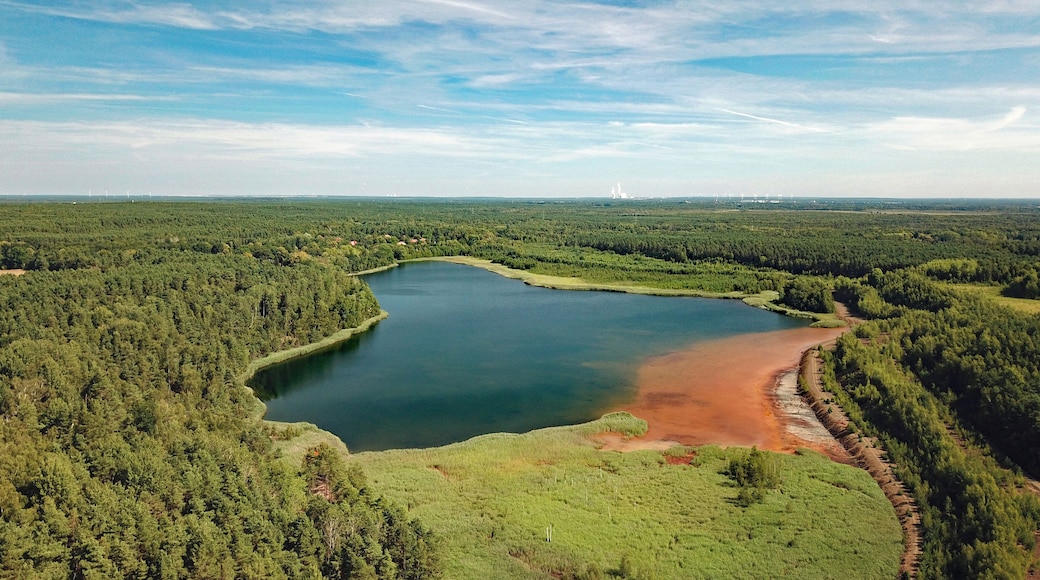Zeißholz Clara III (Bernsdorf, Saxony, Germany)
