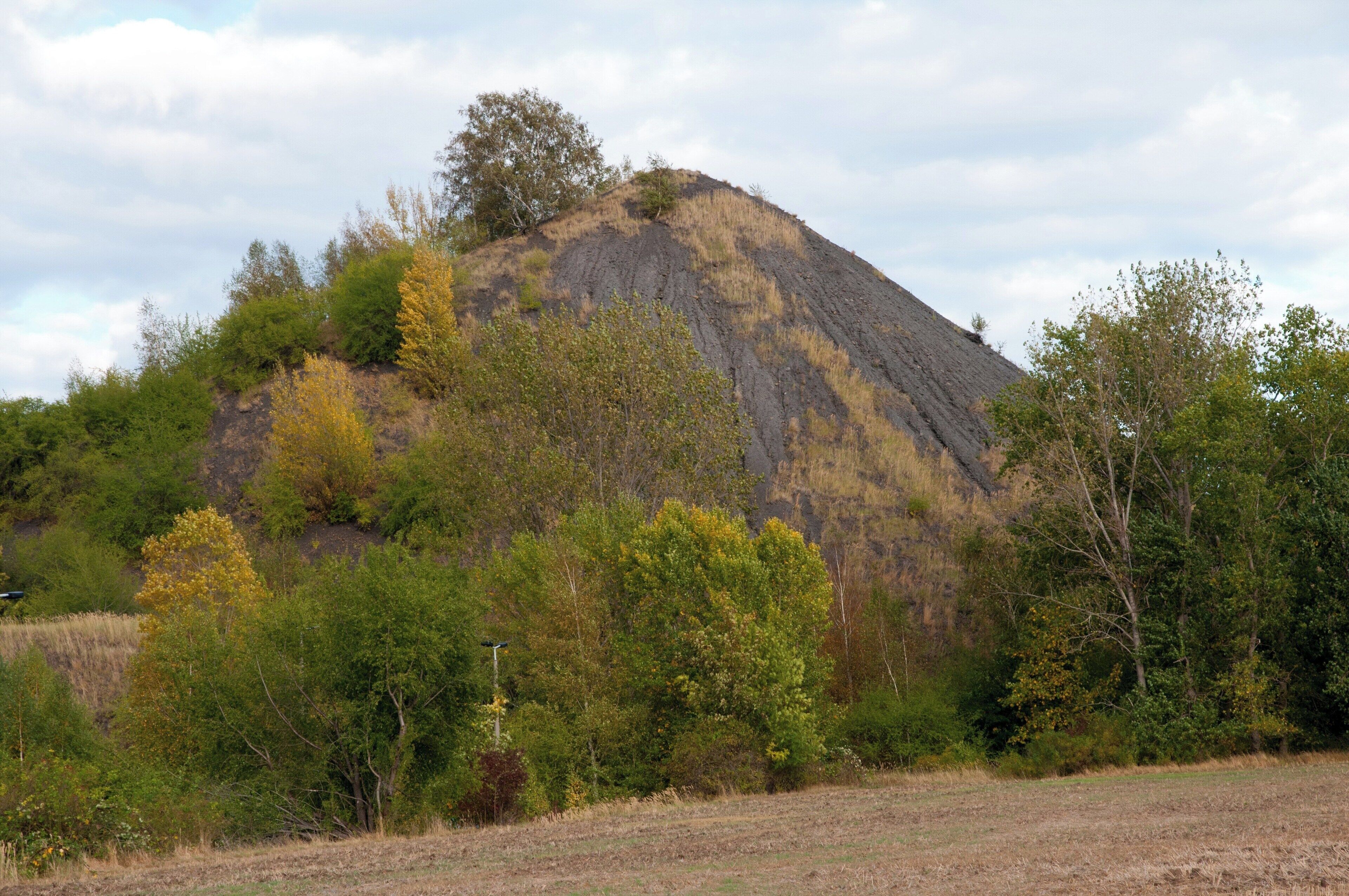 Plötz Halde (Sachsen Anhalt, Deutschland)