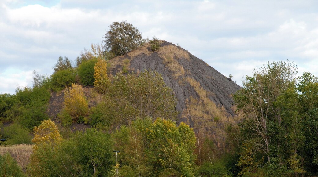 Plötz Halde (Sachsen Anhalt, Deutschland)
