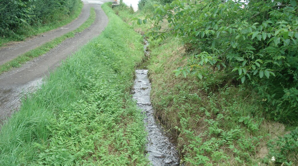 Der BĂŒchelbach in Bieber-BĂŒchelbach