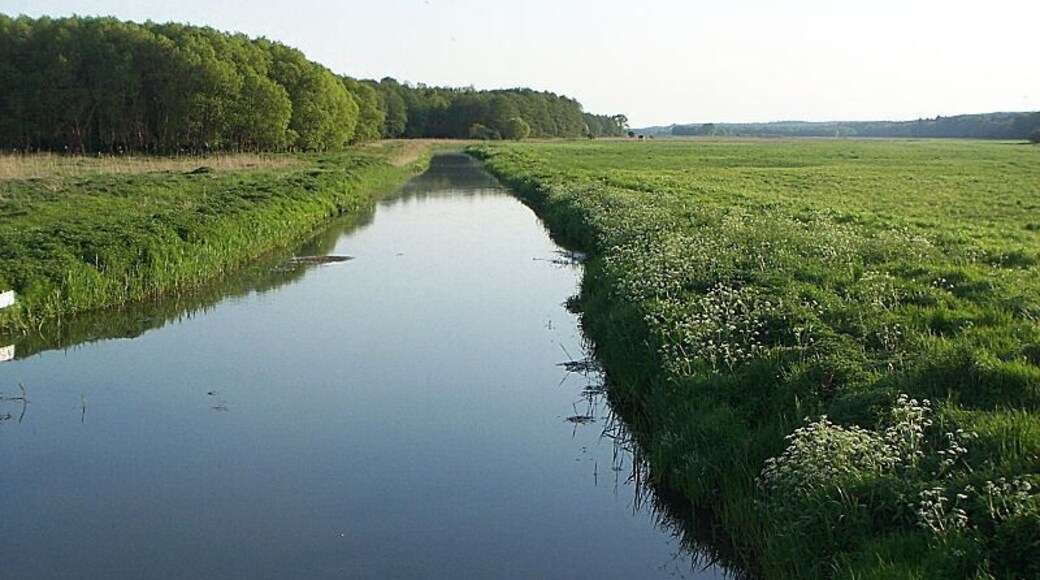 Recknitztal bei Cammin, FFH-Gebiet DE-1941-301 „Recknitz- und Trebeltal mit Zuflüssen“