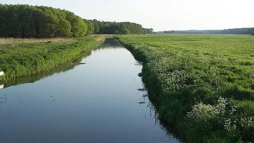 Recknitztal bei Cammin, FFH-Gebiet DE-1941-301 „Recknitz- und Trebeltal mit Zuflüssen“