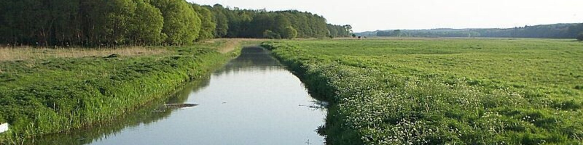 Recknitztal bei Cammin, FFH-Gebiet DE-1941-301 „Recknitz- und Trebeltal mit Zuflüssen“