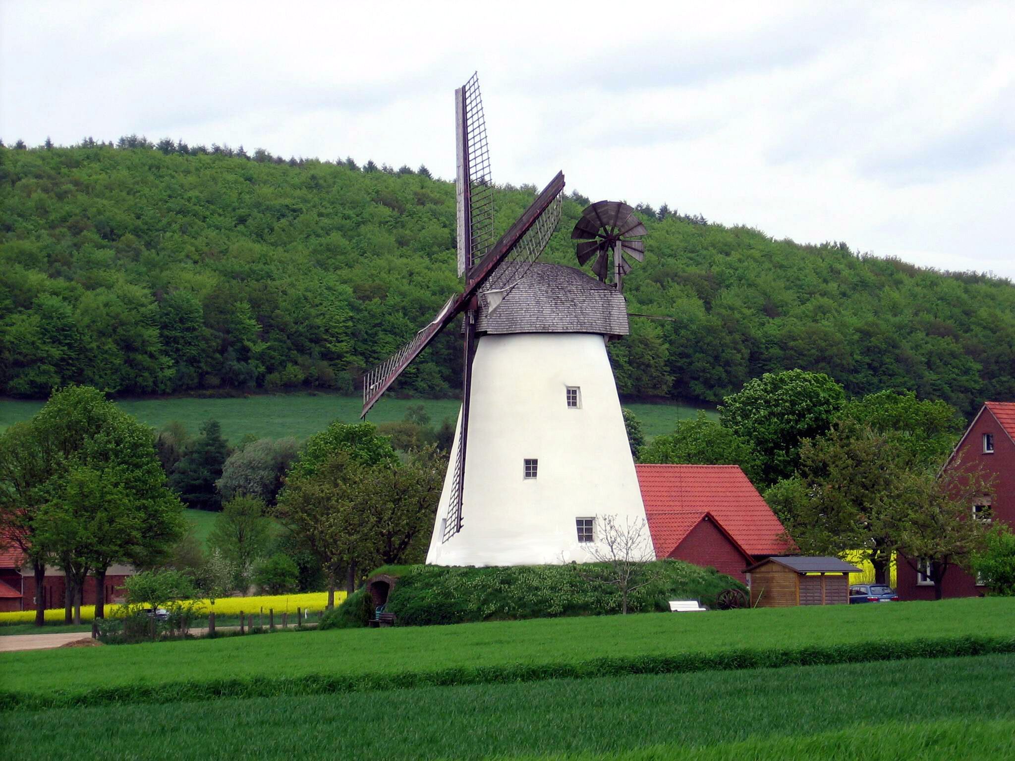 A traditional windmill with a white body and red roof, surrounded by lush greenery and a forested hill in the background.