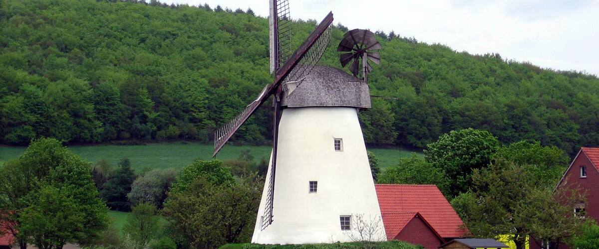A traditional windmill with a white body and red roof, surrounded by lush greenery and a forested hill in the background.