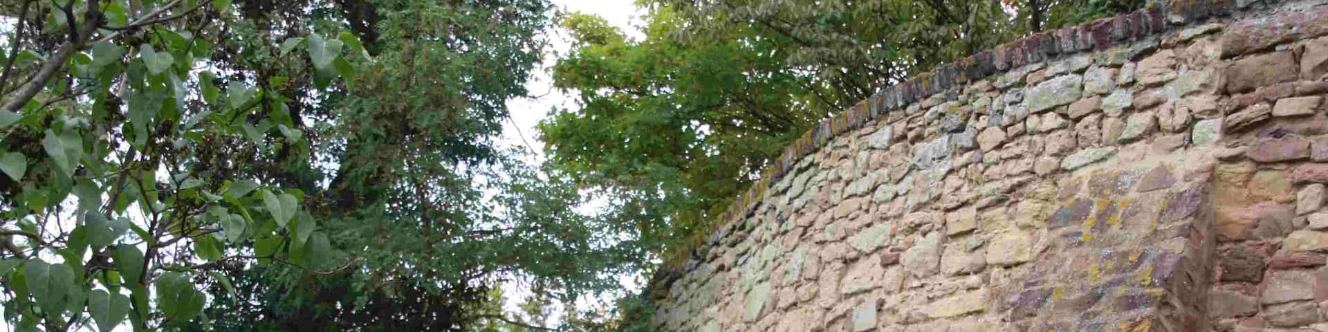StĂŒtzmauer im Westen der Kirche St. Viktor