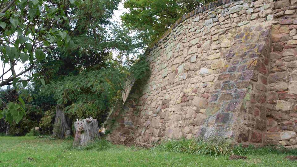 A stone wall with a grassy area and trees in the background.