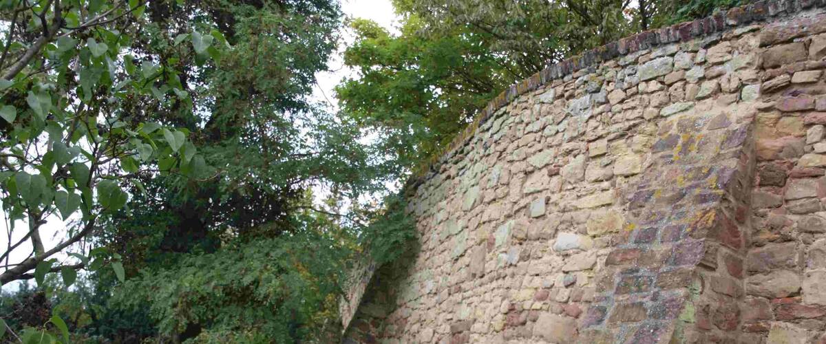 A stone wall with a grassy area and trees in the background.