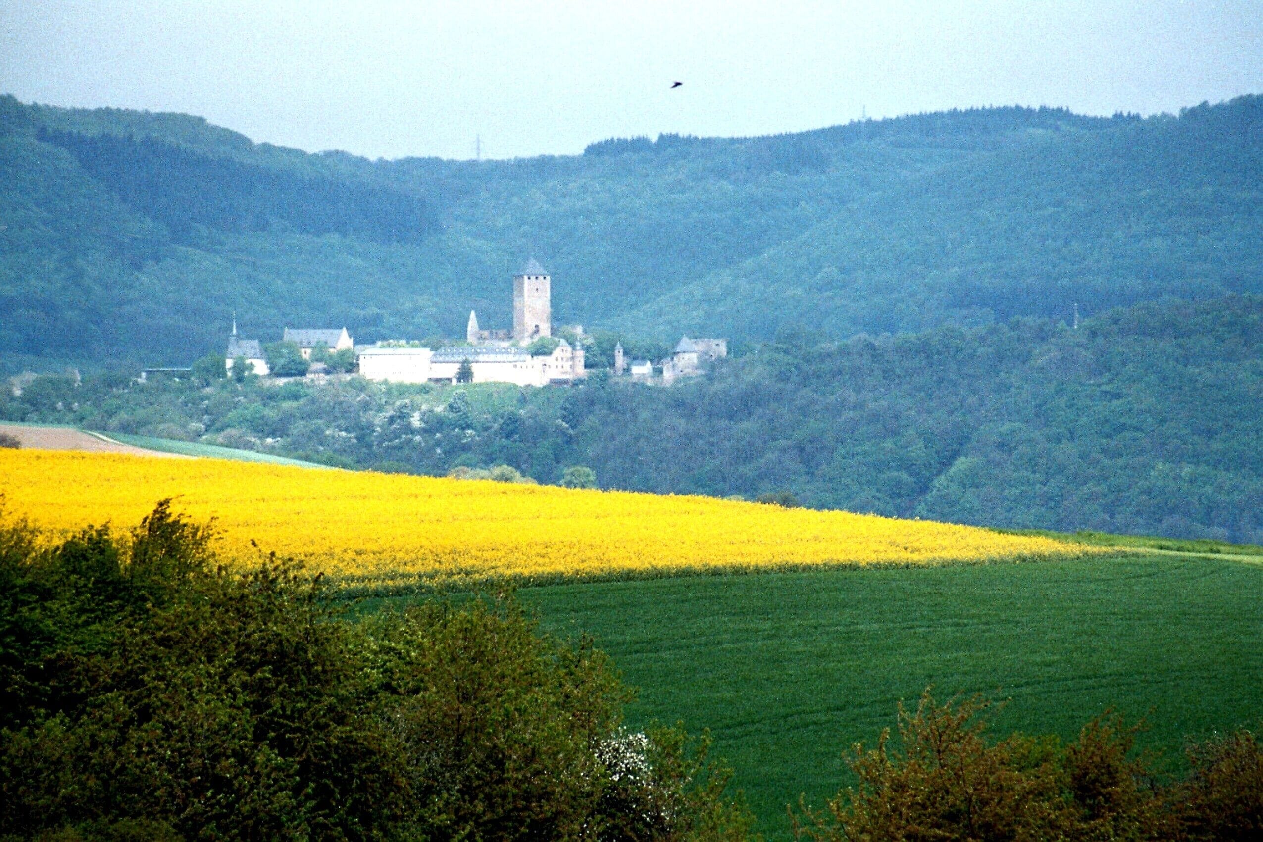 View to the Lichtenburg
