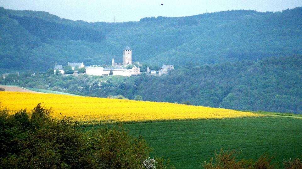 A castle on a hill with a yellow field in the foreground.