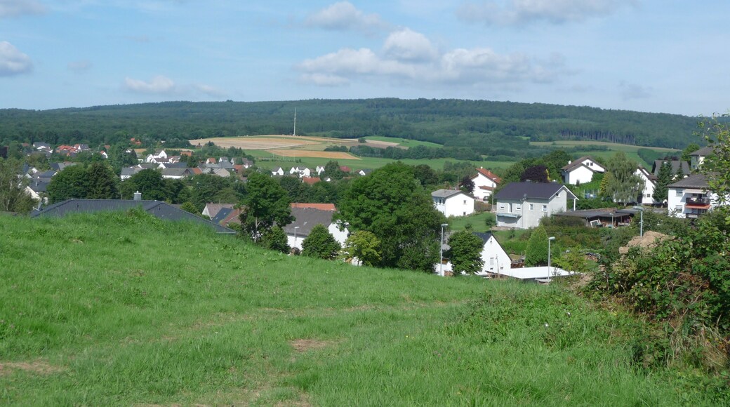 Brücken – Richtung Westen – Apfelbüscher Straße