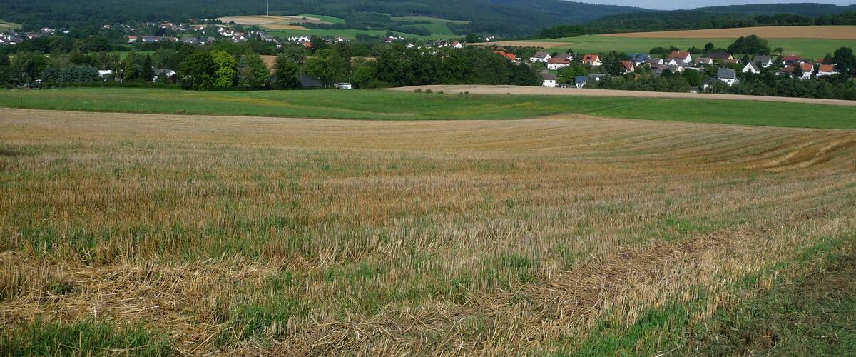 Brรผcken โ 12.08.09