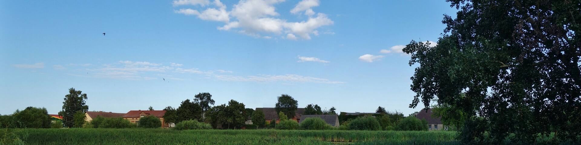 Village pond in Bandelow , Uckerland municipality, Uckermark district, Brandenburg state, Germany