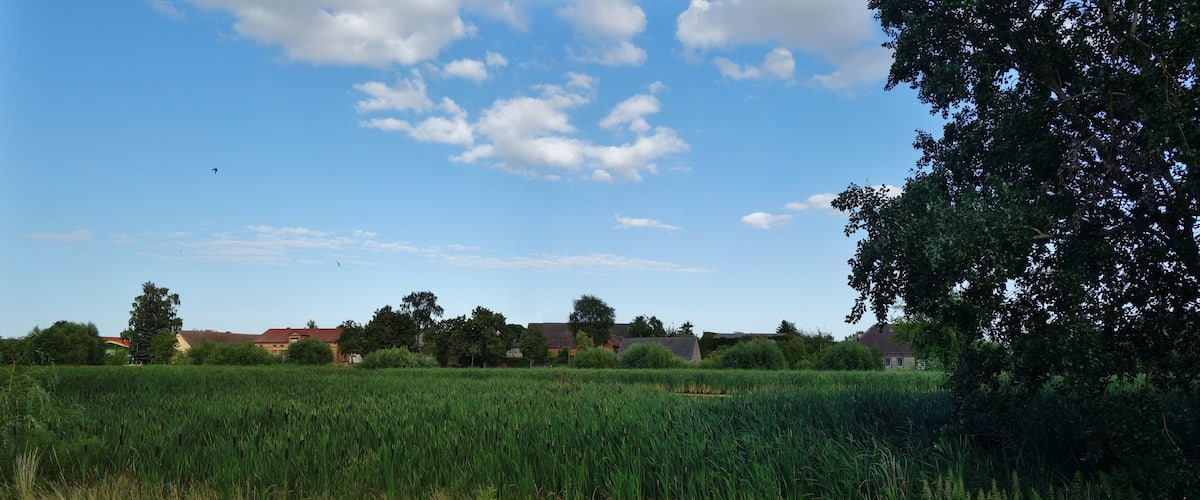 A rural landscape with a field of crops, trees, and houses under a blue sky with clouds.