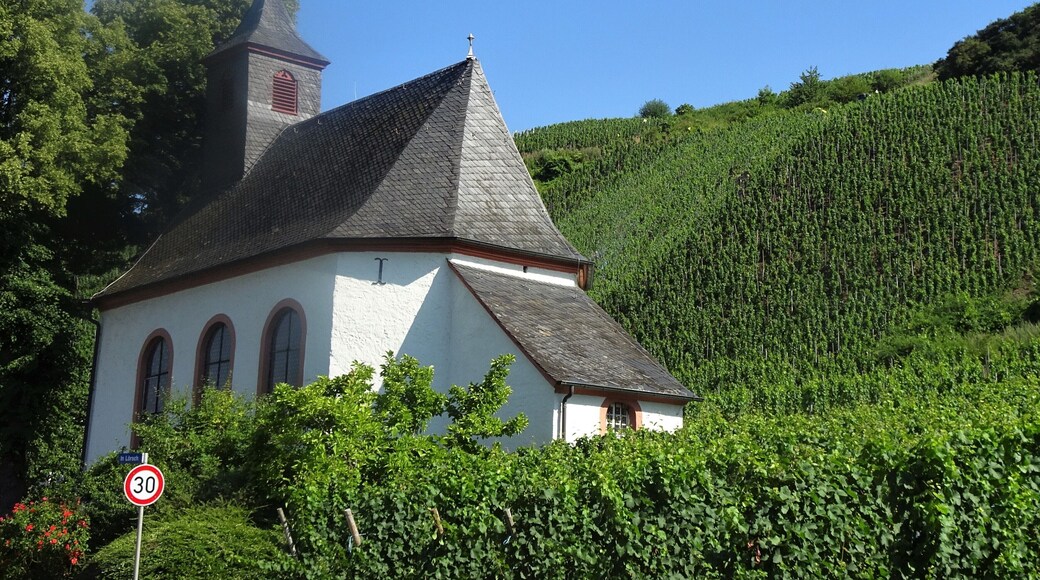 Churches and chapels, surrounded by vineyards, rise up like beacons along the Moselle valley. #Culture