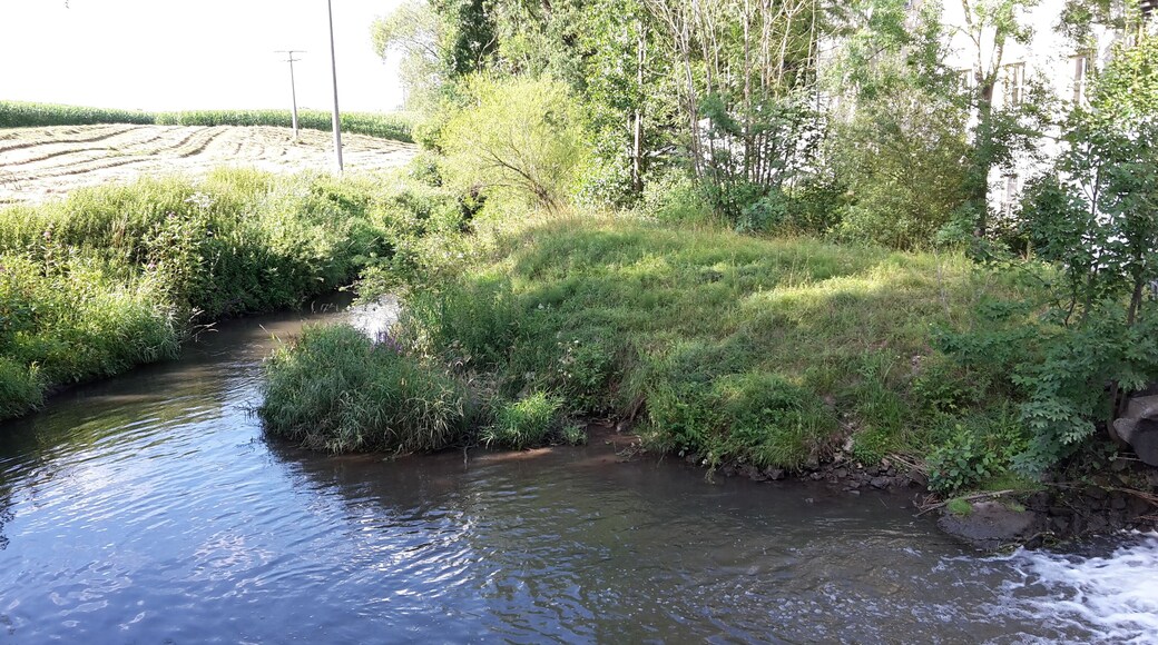 river Biber near watermill Konrad near Bühl and Opferstetten (municipality Bibertal)