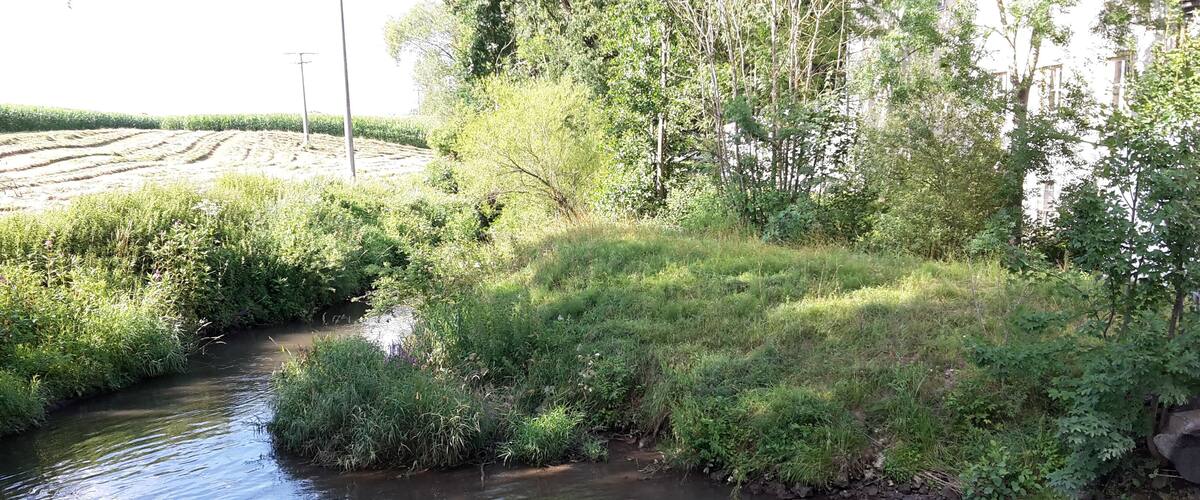 A narrow stream flowing through a lush green area with dense vegetation and trees.