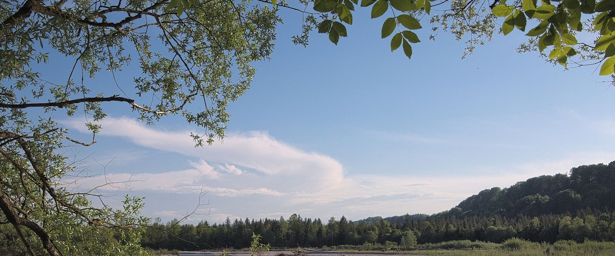 (NSG:BY-NSG-00267.01)_Isarauen zwischen Schäftlarn und Bad Tölz (ex-Pupplinger und Ascholdinger Au)