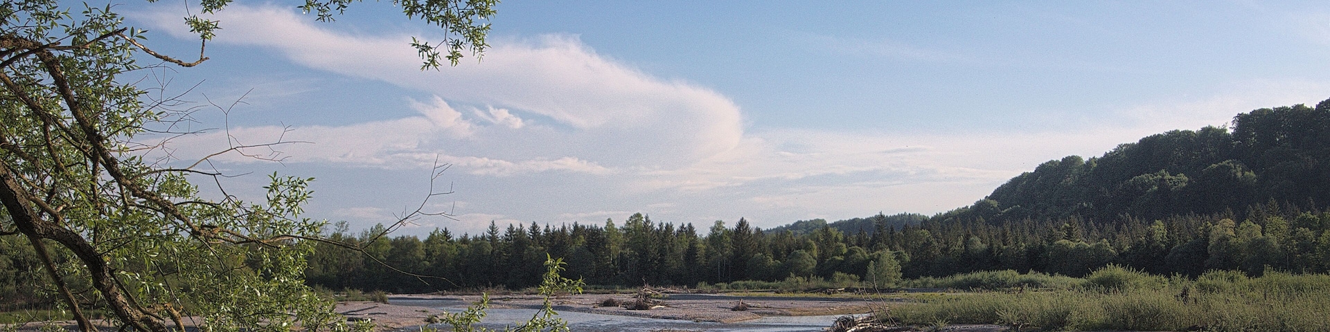 (NSG:BY-NSG-00267.01)_Isarauen zwischen Schäftlarn und Bad Tölz (ex-Pupplinger und Ascholdinger Au)