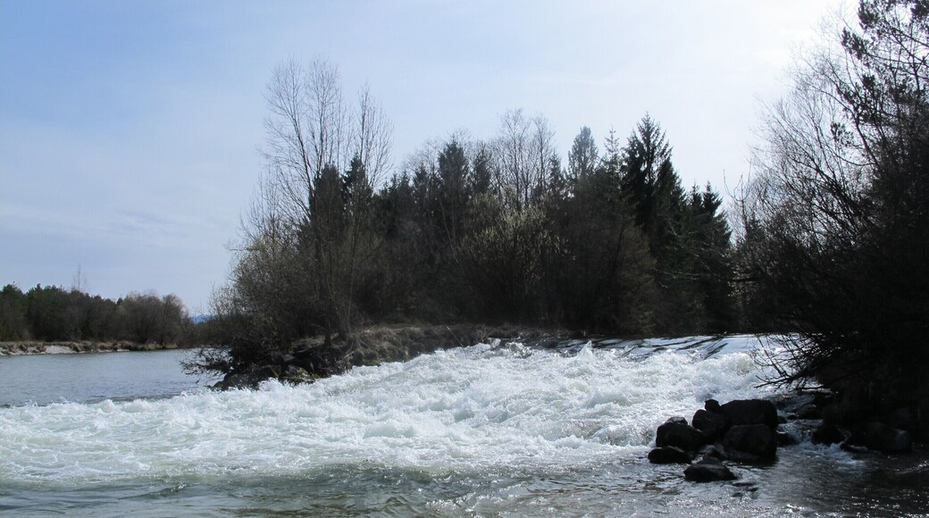 The Loisach-Isar-Kanal flowing into river Isar in the Pupplinger Au (NSG-00267.01 WDPA: 4413)