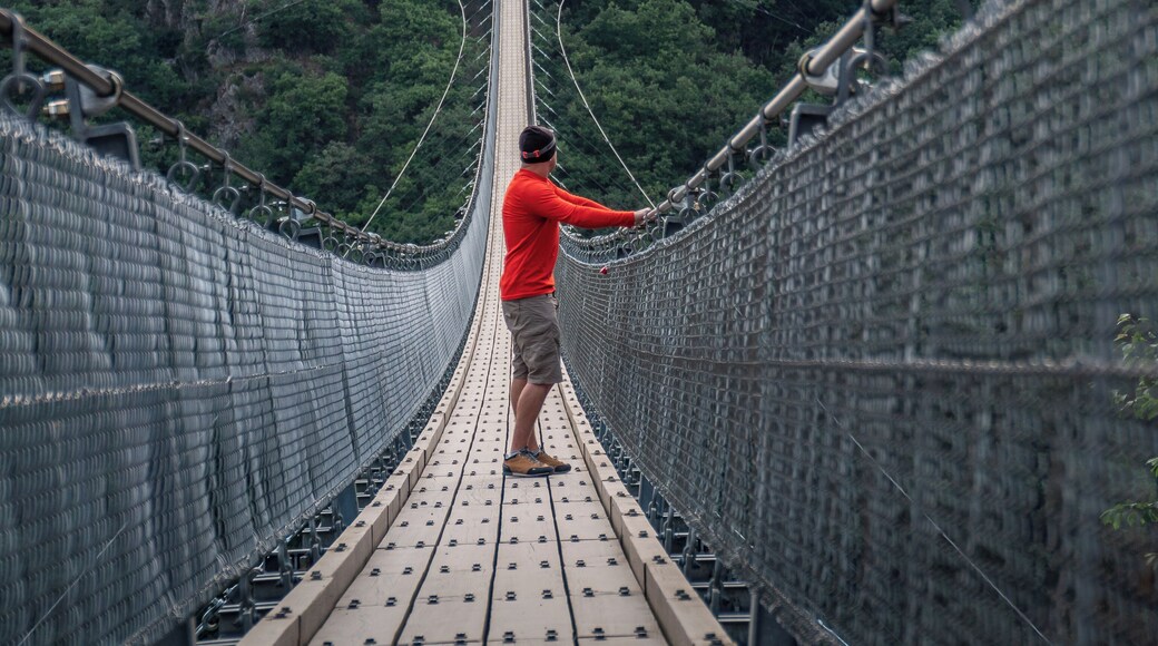 Suspension bridge in Germany.
#Adventure
