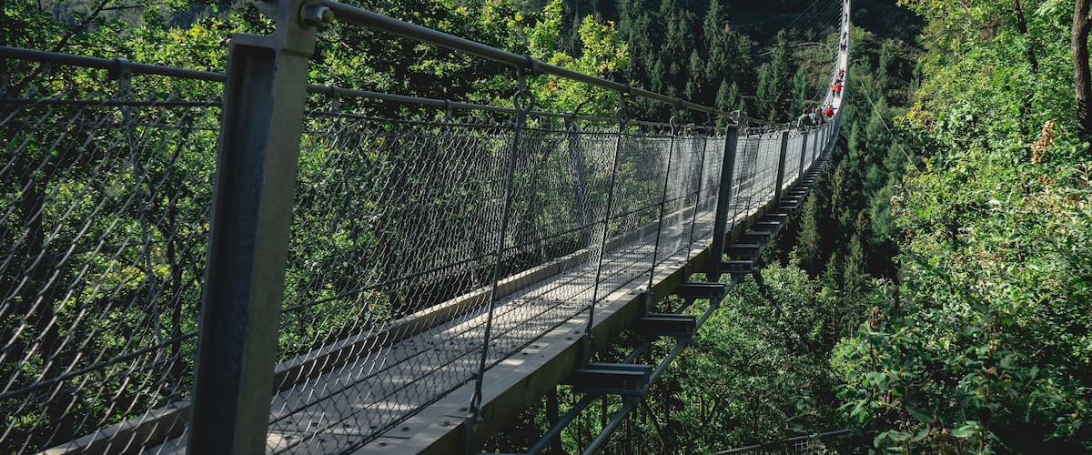 A suspension bridge surrounded by dense forest and hills.