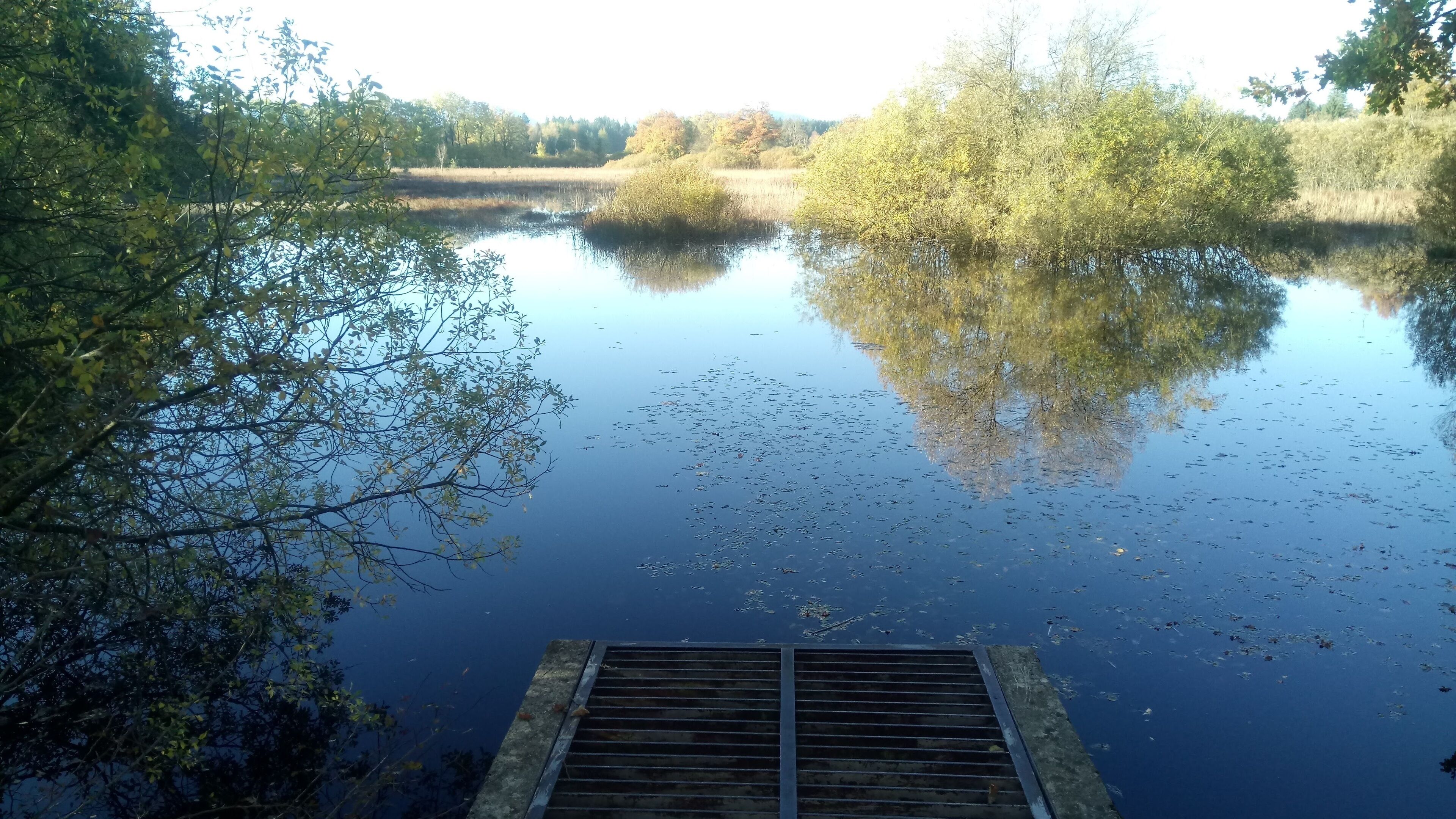 Neuweiher (Reutberger Mühlbach)