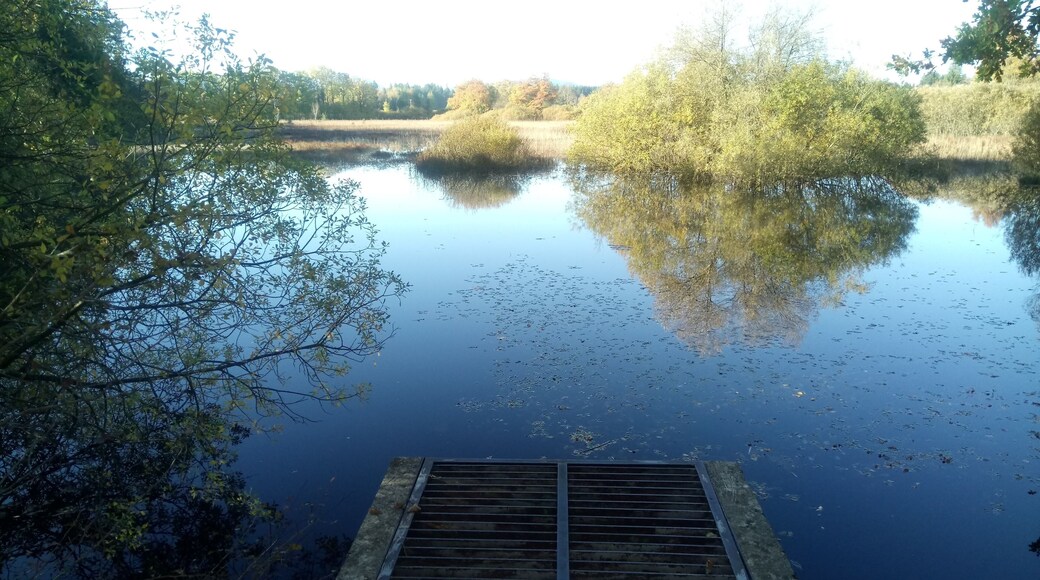 Neuweiher (Reutberger Mühlbach)