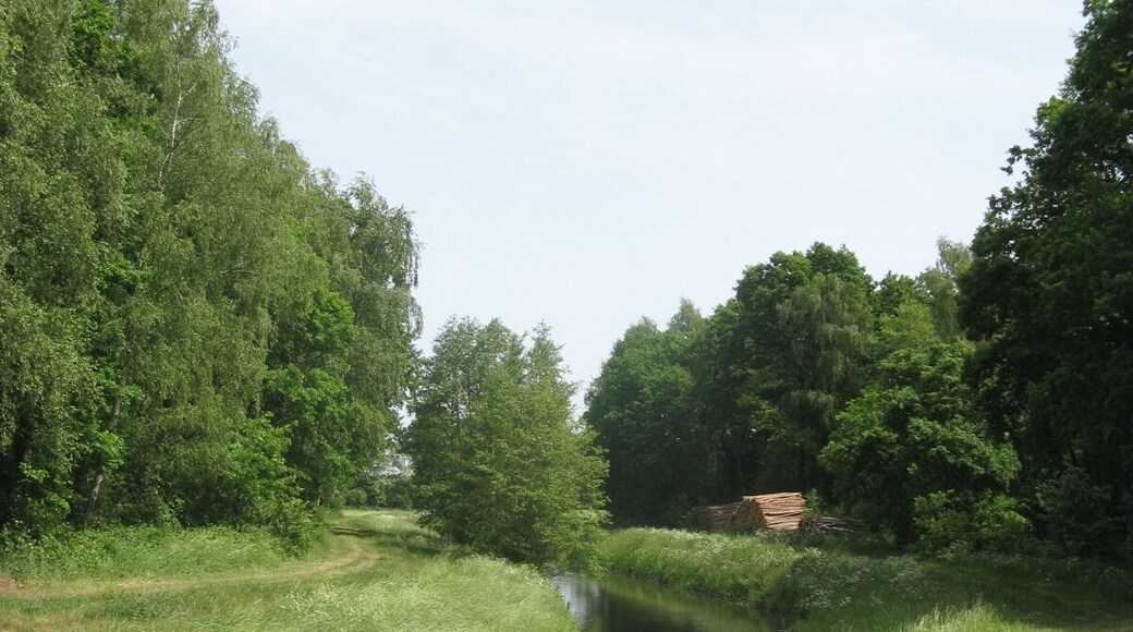 Rögnitz river near Niendorf a. d. Rögnitz, Mecklenburg-Vorpommern, Germany