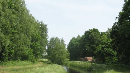 Rögnitz river near Niendorf a. d. Rögnitz, Mecklenburg-Vorpommern, Germany