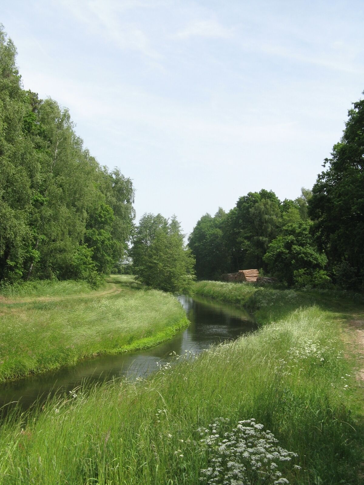 A narrow waterway flanked by lush greenery and trees.