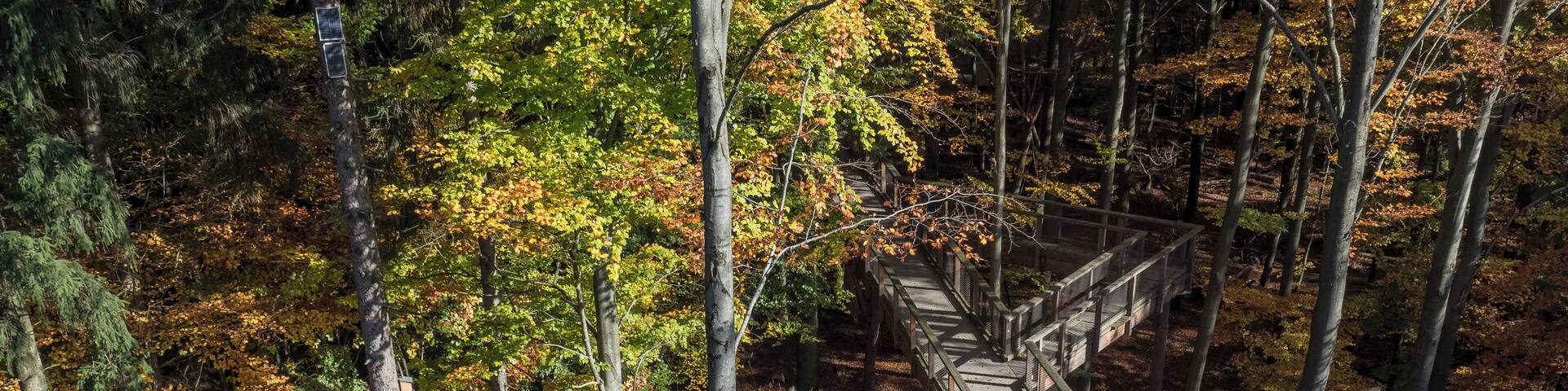 Treetop path Steigerwald near Ebrach