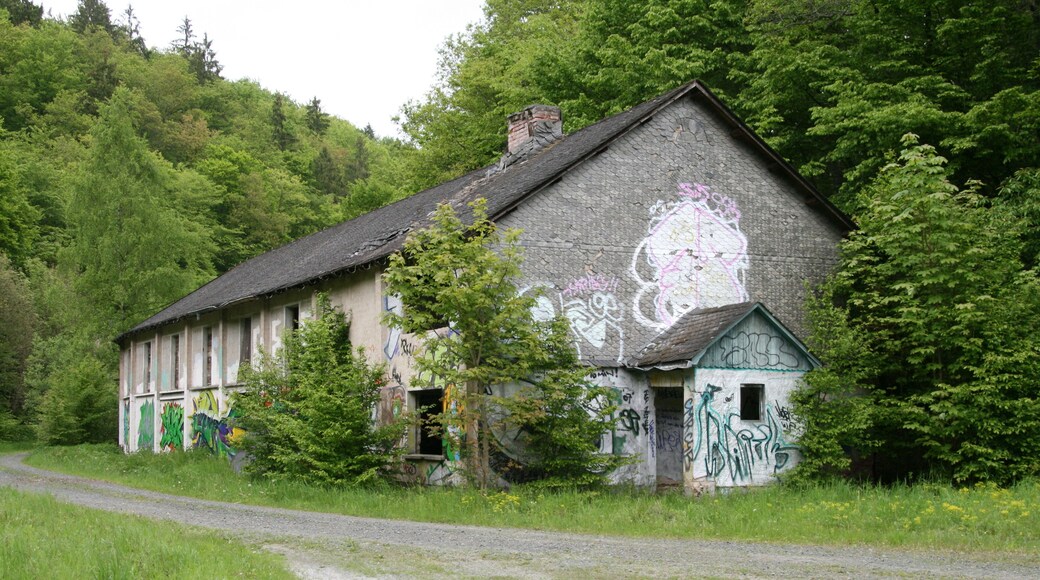 Reste des Spalthauses der ehemaligen Schiefergrube Eckert, spĂ€ter Grube GlĂŒckauf bei Weisel, Rhein-Lahn-Kreis. Die Grube gehörte zu den Vereinigten Schieferwerken Schilling & Co. aus Goslar. Am 30. Mai 1959 wurde der Betrieb eingestellt. Quelle: Eckert und Kreuzberg Forschungsgruppe Weiseler-Geschichte(n)