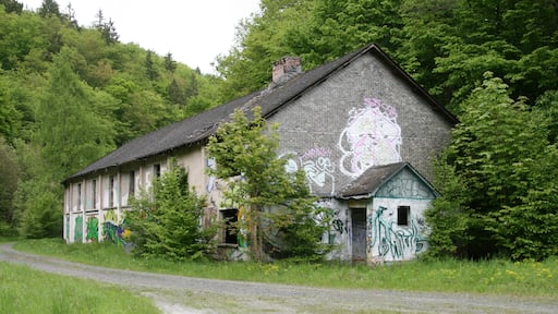 Reste des Spalthauses der ehemaligen Schiefergrube Eckert, spĂ€ter Grube GlĂŒckauf bei Weisel, Rhein-Lahn-Kreis. Die Grube gehörte zu den Vereinigten Schieferwerken Schilling & Co. aus Goslar. Am 30. Mai 1959 wurde der Betrieb eingestellt. Quelle: Eckert und Kreuzberg Forschungsgruppe Weiseler-Geschichte(n)