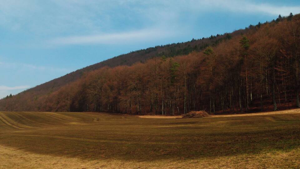 A vast open field with a forested hill in the background.