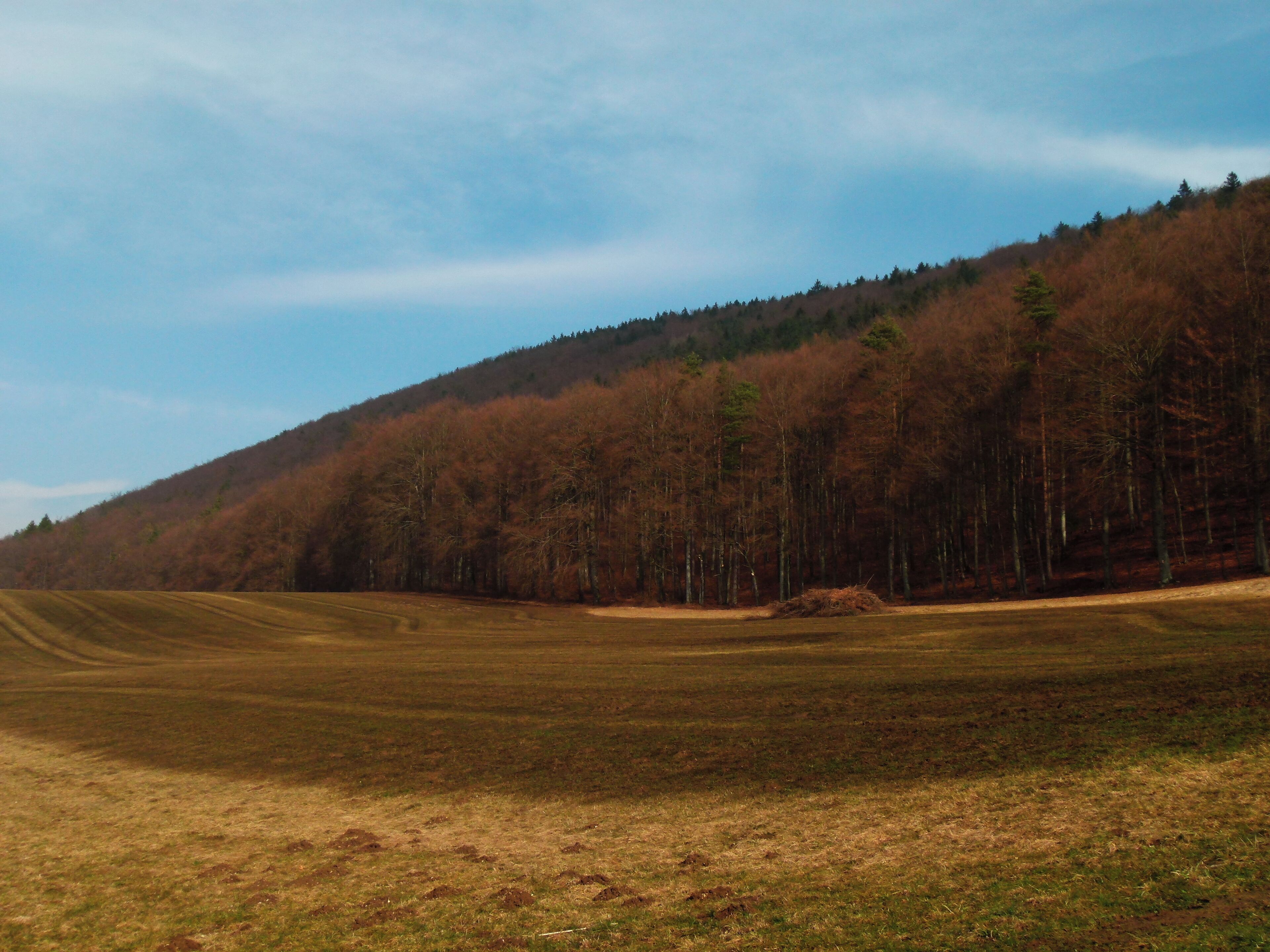 A vast open field with a forested hill in the background.