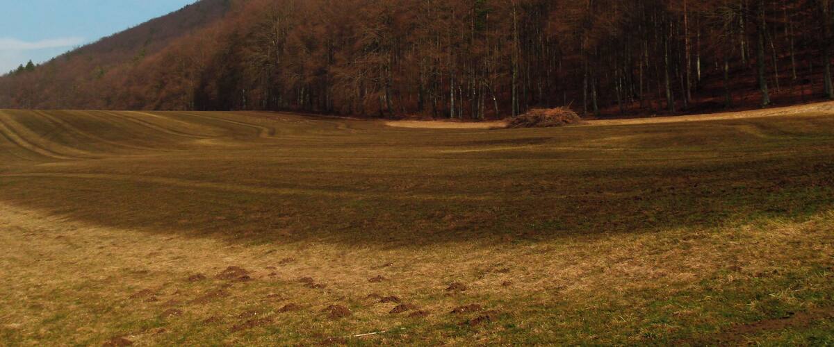 A vast open field with a forested hill in the background.