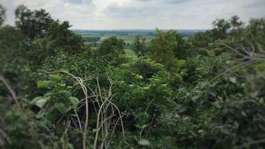 View from castle Scherneck.