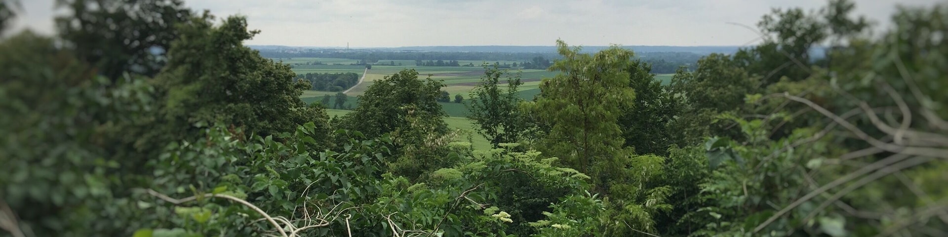 View from castle Scherneck.