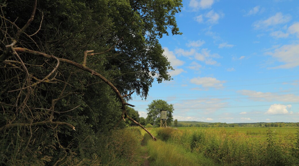 Farm track beside the nature reserve (Naturschutzgebiet) „Neuenkirchener Moor“ in Neuenkirchen, Landkreis Osnabrück, Lower Saxony, Germany.