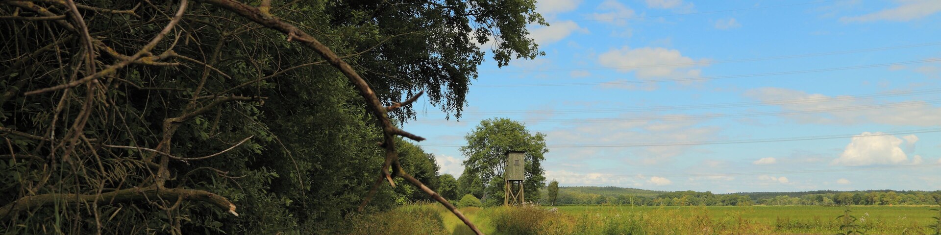 Farm track beside the nature reserve (Naturschutzgebiet) „Neuenkirchener Moor“ in Neuenkirchen, Landkreis Osnabrück, Lower Saxony, Germany.