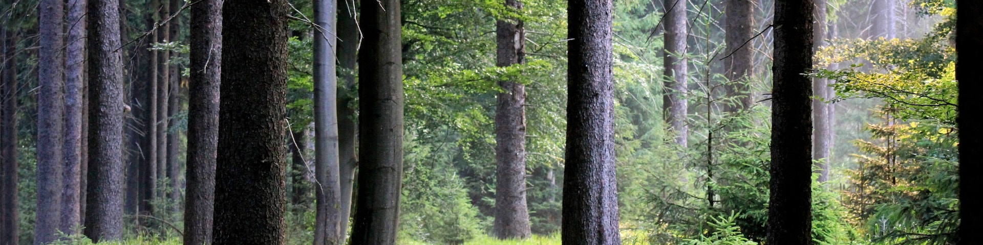 This is a picture of the protected area listed at WDPA under the ID