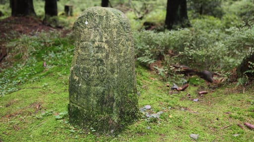 Rennsteig Abschnitt Saarzipfel â Hohe Heide Landesgrenzstein 57