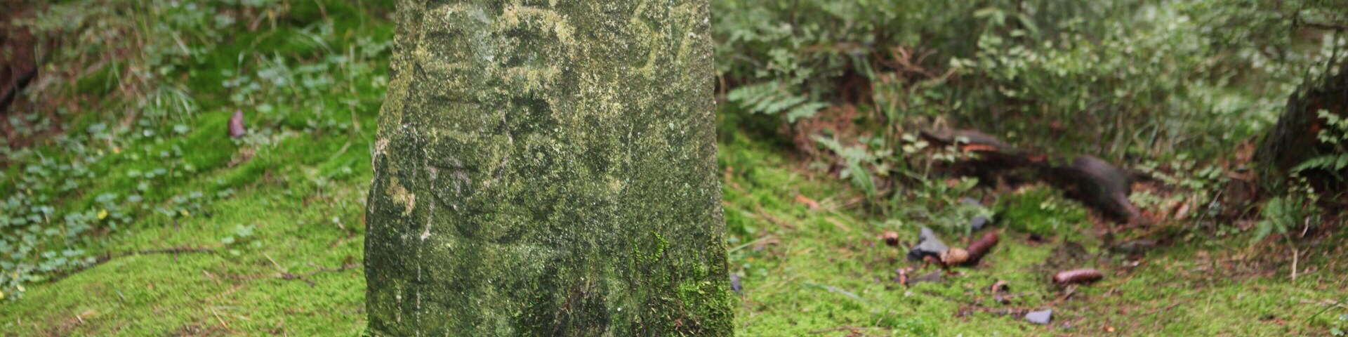 Rennsteig Abschnitt Saarzipfel – Hohe Heide Landesgrenzstein 57