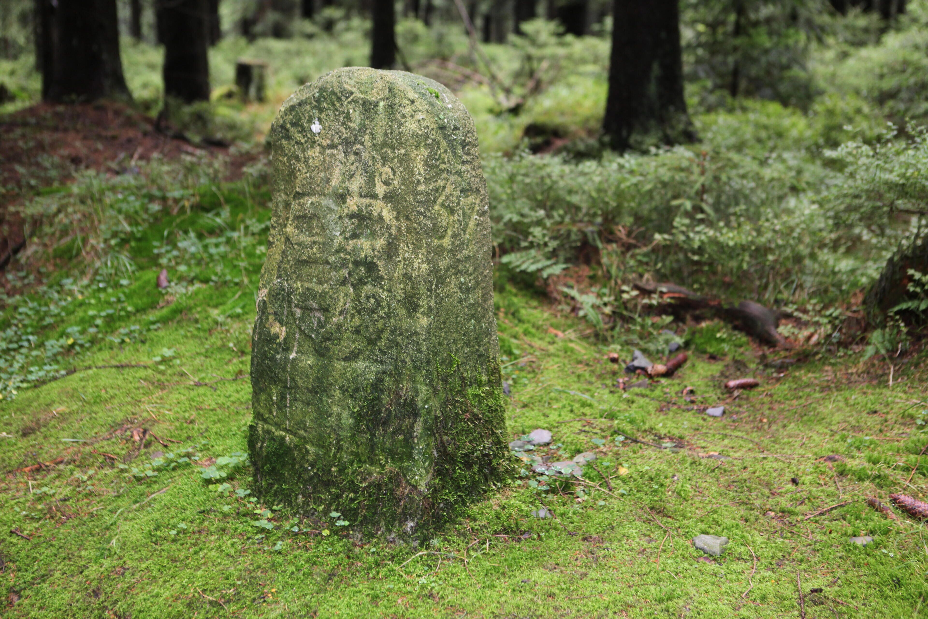 A moss-covered stone monument in a forest.