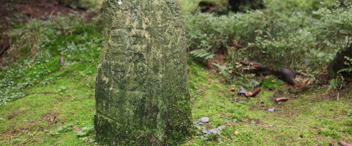 A moss-covered stone monument in a forest.