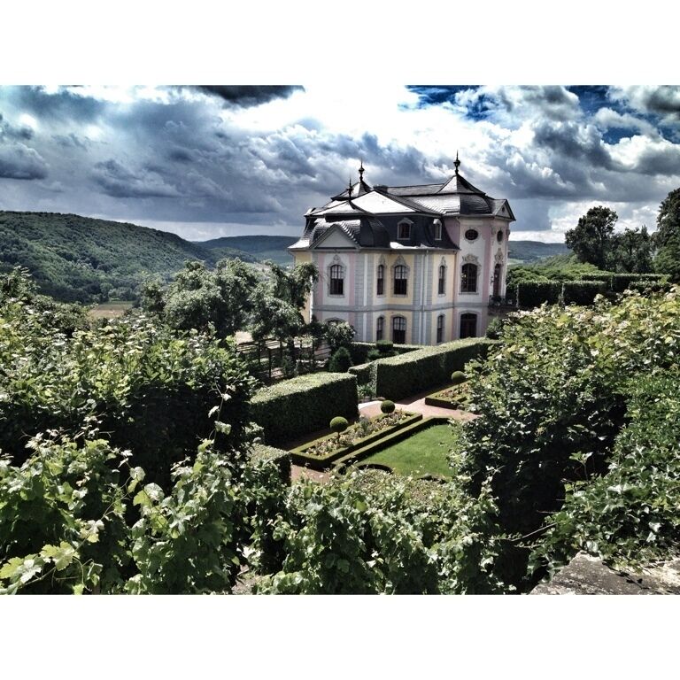 Three Dornburg castles on steepy stowing limestone-shell rocks: The "Altes Schloss" (Old Castle-Gothic), Renaissance Castle and Rococo Castle with a particularly interesting terrace; frequently visited by Goethe; well-kept, park-like gardens with many rose trees; annual festival of roses,crowning of the Rose Queen; Museum in the Renaissance and Rococo Castles, Goethe Memorial; Castle Café, restaurant, guesthouse.