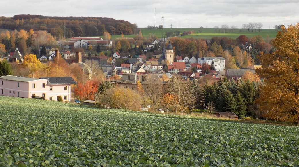 View of Gössnitz (Altenburger Land district, Thuringia) in autumn