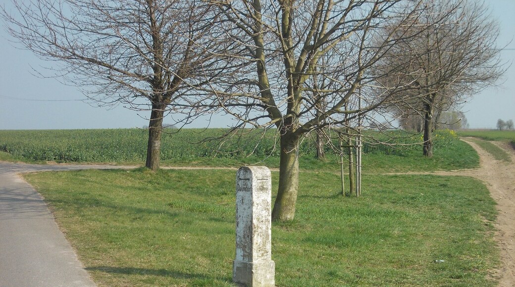 Old signpost near Naundorf (Gössnitz, Altenburger Land district, Thuringia)