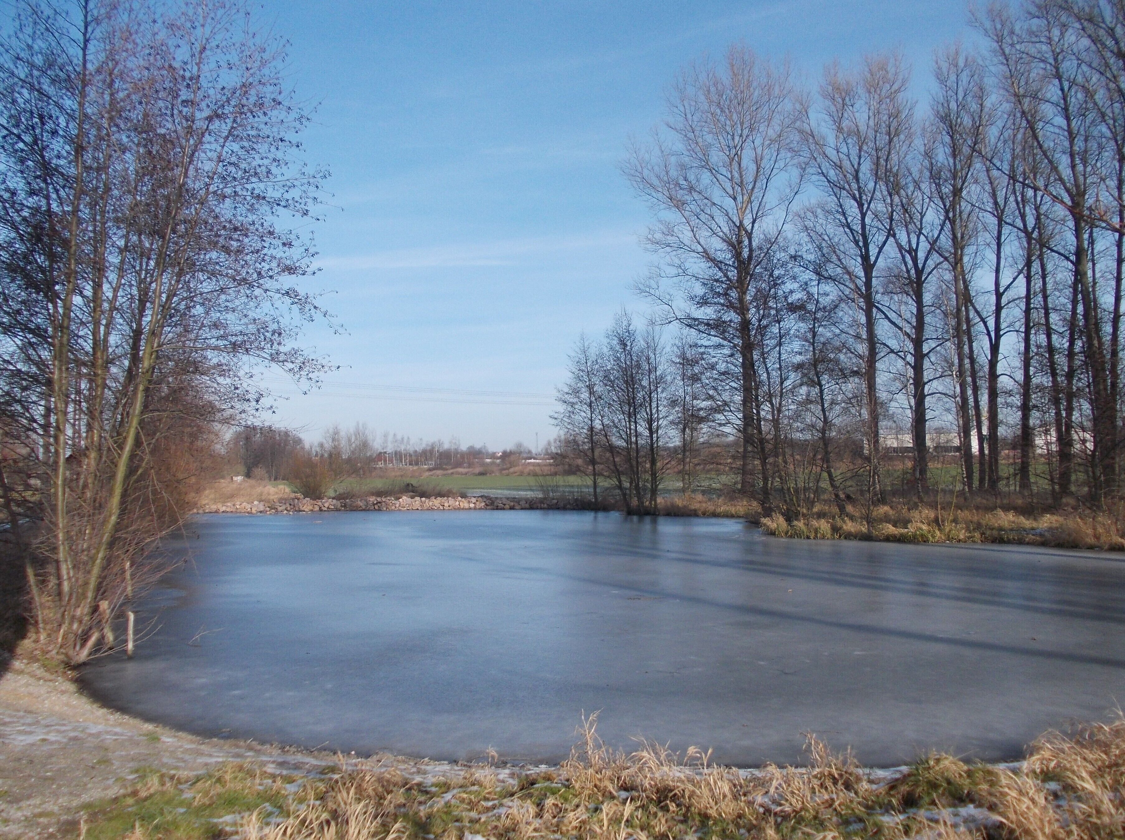 Former open-air swimming-pool near Gössnitz (district: Altenburger Land, Thuringia)